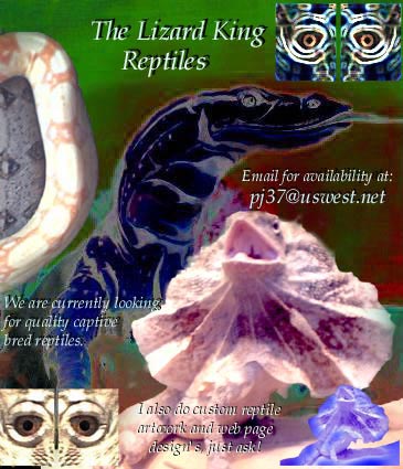 Welcome to The Lizard King Reptiles and custom designs.